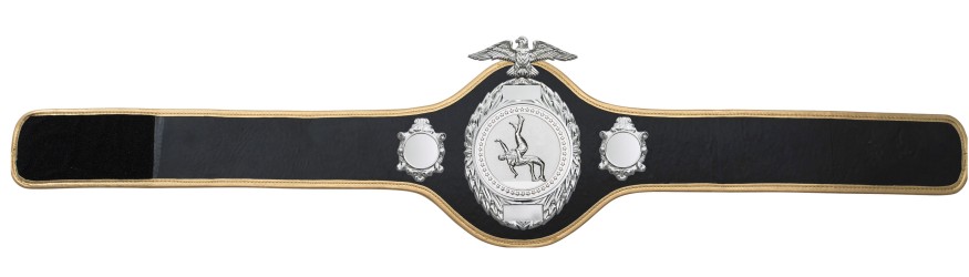 WRESTLING CHAMPIONSHIP BELT-PRO288/S/WRES - 10 COLOURS